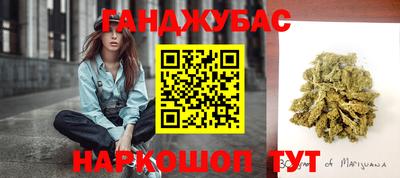 шишки Ярославль