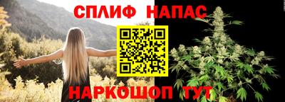 шишки Ярославль