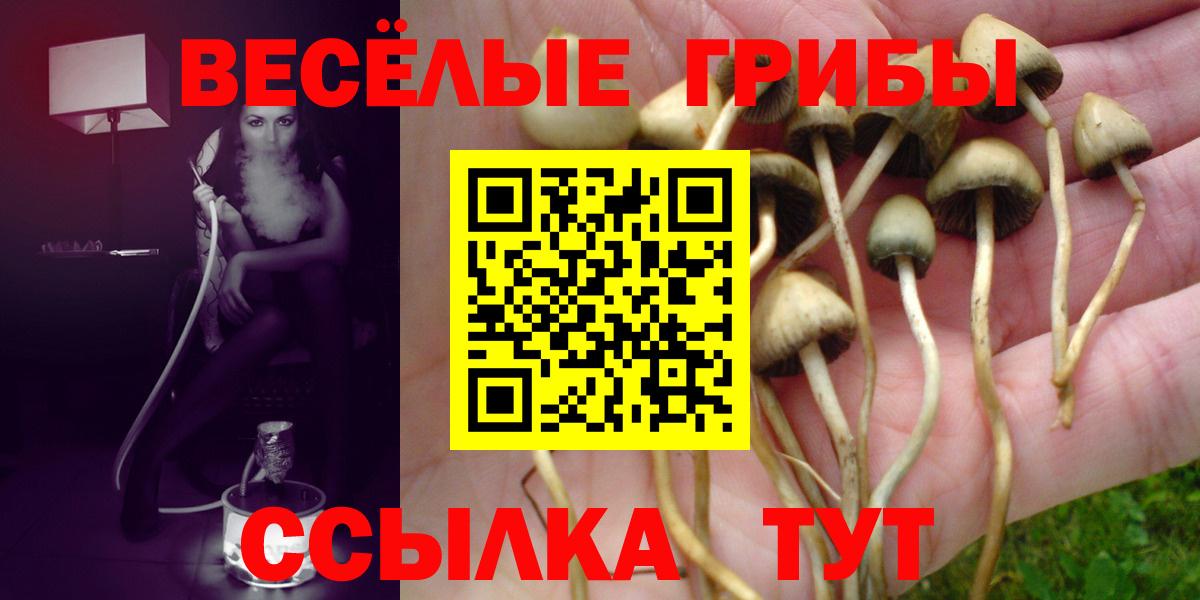 Псилоцибиновые грибы прущие грибы  Вход с VPN  Балашиха 